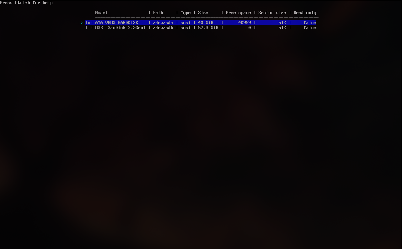 这里选择需要分区的硬盘,同样可以使用空格勾选多个硬盘进行分区